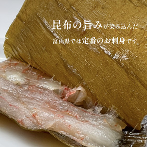 昆布締め　お任せ5種セット（冷凍）｜新鮮 小分け 冷凍 魚介類 魚貝類 加工食品 氷見 昆布じめ 昆布〆 さしみ 氷見漁港 昆布 おつまみ 肴 魚 おかず セット 詰め合わせ 刺身セット 郷土料理 産地直送 富山湾 刺身 お刺し身 刺し身 