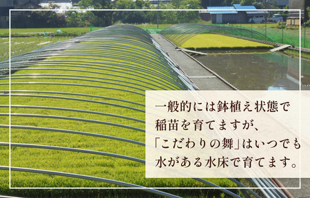 令和5年産 富山県産 コシヒカリ こだわりの舞 15kg 富山県 氷見市 コシヒカリ 令和5年度 こしひかり  コシヒカリ 令和5年度 こしひかり コシヒカリ 令和5年度 コシヒカリ コシヒカリ コシヒカリ コシヒカリ コシヒカリ コシヒカリ コシヒカリ コシヒカリ コシヒカリ コシヒカリ コシヒカリ コシヒカリ コシヒカリ コシヒカリ コシヒカリ コシヒカリ コシヒカリ コシヒカリ コシヒカリ コシヒカリ コシヒカリ コシヒカリ コシヒカリ コシヒカリ コシヒカリ コシヒカリ コシヒカリ コシヒカリ コシヒカリ コシヒカリ コシヒカリ コシヒカリ コシヒカリ コシヒカリ コシヒカリ コシヒカリ コシヒカリ コシヒカリ コシヒカリ コシヒカリ コシヒカリ コシヒカリ コシヒカリ コシヒカリ コシヒカリ コシヒカリ コシヒカリ コシヒカリ コシヒカリ コシヒカリ コシヒカリ コシヒカリ コシヒカリ コシヒカリ コシヒカリ コシヒカリ