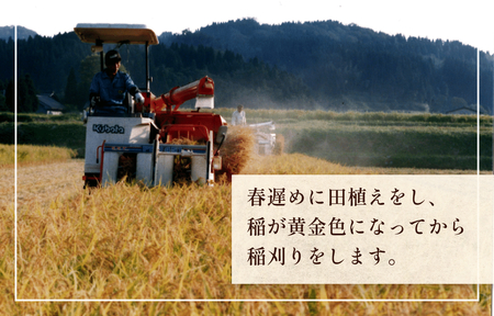 令和5年産 富山県産 コシヒカリ こだわりの舞 15kg 富山県 氷見市 コシヒカリ 令和5年度 こしひかり