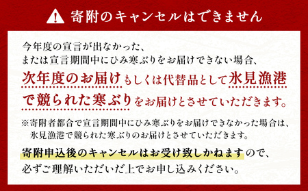 【先行予約】ひみ寒ぶり朝どれ1本【8~10kg】(神経抜〆)【半七】※配送地域限定