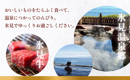氷見１泊２食付き宿泊 補助券 （20,000円分）｜ 宿泊券 クーポン チケット 海鮮