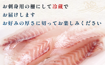 <冷蔵便> 氷見漁港朝どれ!旬の新鮮お刺身おまかせセット 2~3人前 | 配送地域限定 柵どり