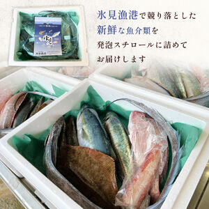 天然のいけす 富山湾 氷見漁港直送！ 旬の鮮魚セット 定期便3ヶ月連続お届け