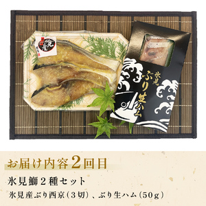 〈隔月5回定期便〉 富山県氷見尽くし！「氷見ぶり」「氷見産干物」「氷見産昆布〆お刺身」「氷見うどん」など氷見の旨いもんが19種！　