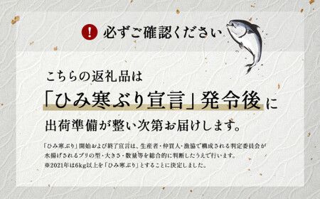 【魚問屋直送】天然「生ひみ寒ぶり」刺身用 約800g 