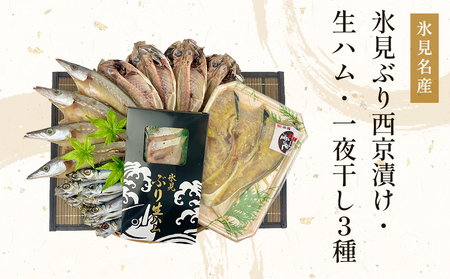 〈日本海氷見の幸５種〉 氷見ぶり「西京漬け」「生ハム」一夜干し「氷見産３種」氷見のお魚５種味わいセット！ 魚貝類 加工食品 魚介類 干物 西京漬け 鰤ハム 一夜干し イワシ カマス アジ 富山湾 氷見
