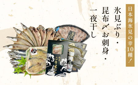 日本海氷見の幸10種！【氷見ぶり・昆布〆お刺身】鱈場おすすめ一夜干しセット 魚貝類 加工食品 魚介類 干物  西京漬け 鰤ハム カマス アジ 一夜干し 醤油 昆布締め 富山湾 氷見 11,200円