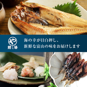 日本海氷見の幸「極み」13種！【氷見ぶり・昆布〆お刺身・ほたるいか】鱈場おすすめ一夜干しセット 魚貝類 加工食品 魚介類 干物  西京漬け 鰤ハム カマス アジ 一夜干し ホタルイカ 醤油 昆布締め 富山湾 氷見