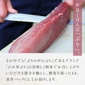 ひみ寒ぶり 刺身用（柵） 500g 富山県 氷見市 刺身 柵 ブリ 鰤 寒ぶり