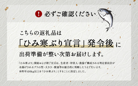 ひみ寒ぶり 刺身用（柵）800g  富山県 氷見市 刺身 柵 ブリ 鰤 寒ぶり