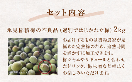 【訳あり】【先行予約】MOTTAINAI 氷見稲積梅 2kg ＜2026年6月下旬発送予定＞ 富山県 氷見市 青梅 果物 訳アリ