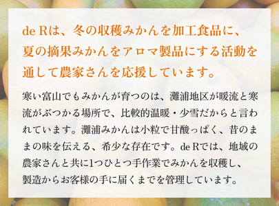 すっきりした味わいの灘浦みかん果汁100％飲料 10本セット 