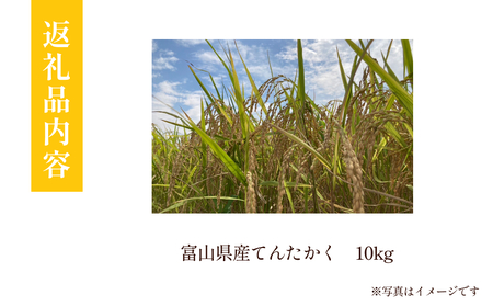 令和7年産 富山県産 てんたかく 10kg 吉笑米 | 富山県 氷見市 天