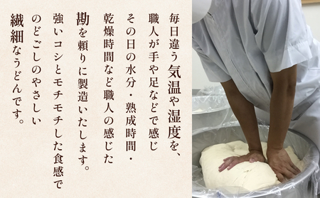 美乃氷見うどん5本入つゆ付き（200g×5本） 富山県 氷見市 うどん 乾麺 つゆ セット