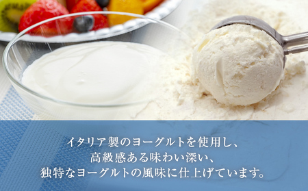 訳ありジェラート ２L ヨーグルト【Himi Gelato】