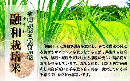 ＜先行予約＞お米自慢コンクール優秀賞！  令和6年産 富山県産コシヒカリ 白米 5kg  富山県 氷見市 こしひかり R6