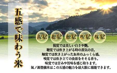 ＜先行予約＞お米自慢コンクール優秀賞！  令和6年産 富山県産コシヒカリ 白米 5kg  富山県 氷見市 こしひかり R6