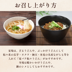 国産小麦100% 美乃氷見うどん 180g×7本  | 細麺 手延べ