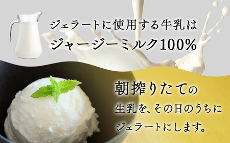 訳あり ジェラート プレミアムミルク 1L  富山県 氷見市 みるく プレミアム アイス アイスミルク ジェラート Himi Gelato ジャージー プレミアムミルク ジェラート ジャージー プレミアムミルク ジェラート ジャージー プレミアムミルク ジェラート ジャージー プレミアムミルク ジェラート ジャージー プレミアムミルク ジェラート ジャージー プレミアムミルク ジェラート ジャージー プレミアムミルク ジェラート ジャージー プレミアムミルク ジェラート ジャージー プレミアムミルク ジェラート ジャージー プレミアムミルク ジェラート ジャージー プレミアムミルク ジェラート ジャージー プレミアムミルク ジェラート ジャージー プレミアムミルク ジェラート ジャージー プレミアムミルク ジェラート ジャージー プレミアムミルク ジェラート ジャージー プレミアムミルク ジェラート ジャージー プレミアムミルク ジェラート ジャージー プレミアムミルク ジェラート ジャージー プレミアムミルク ジェラート ジャージー プレミアムミルク ジェラート ジャージー プレミアムミルク ジェラート ジャージー プレミアムミルク ジェラート ジャージー プレミアムミルク ジェラート