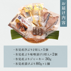 氷見堀与 富山湾の王様 氷見ぶり4種 富山県 氷見市 ブリ ぶり 切り身 ジャーキー 食べ比べ セット