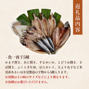 【氷見堀与】 おすすめ一夜干5種セット 〈冷凍〉