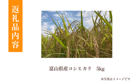 令和6年産 富山県産 コシヒカリ 5kg 吉笑米 10月中旬以降順次発送  |  富山県 氷見市 こしひかり 米 R６ 白米 予約 新米 精米 