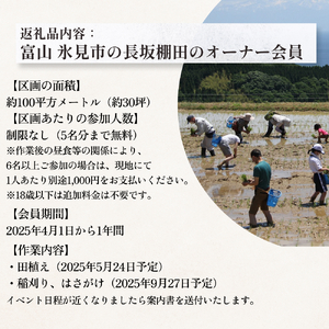 令和7年度 長坂棚田　オーナー会員（１区画） 富山県 氷見市 オーナー権 田んぼ 体験