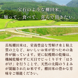 令和7年度 長坂棚田　オーナー会員（１区画） 富山県 氷見市 オーナー権 田んぼ 体験