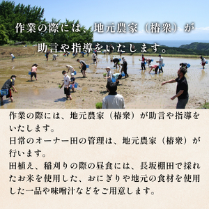 令和7年度 長坂棚田　オーナー会員（１区画） 富山県 氷見市 オーナー権 田んぼ 体験