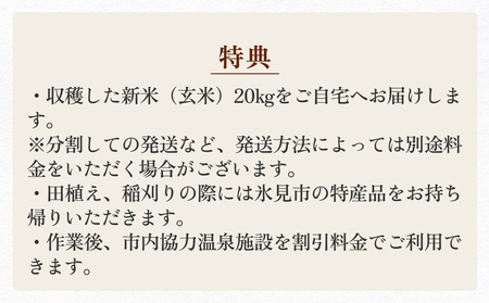 令和7年度 長坂棚田　オーナー会員（１区画） 富山県 氷見市 オーナー権 田んぼ 体験