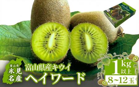 富山県産キウイ（ヘイワード）1kg以上（８～12玉） 【2025年12月中旬以降順次発送】   | 国産 数量限定 グリーンキウイ 富山 氷見 果物 フルーツ キウイ