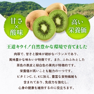富山県産キウイ（ヘイワード）1kg以上（８～12玉） 【2025年12月中旬以降順次発送】   | 国産 数量限定 グリーンキウイ 富山 氷見 果物 フルーツ キウイ