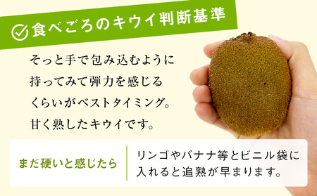富山県産キウイ（ヘイワード）1kg以上（８～12玉） 【2025年12月中旬以降順次発送】   | 国産 数量限定 グリーンキウイ 富山 氷見 果物 フルーツ キウイ