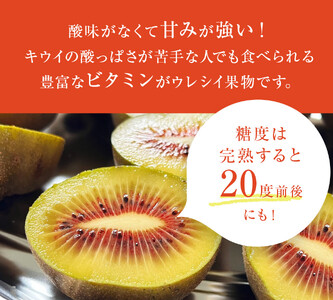 氷見産キウイ（レインボーレッド）1kg以上（9～15玉）  ｜　数量限定 希少 富山 氷見 レインボーレッドキウイ 国産 キウイフルーツ ギフト