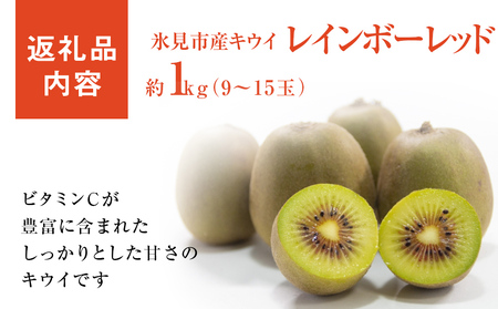 氷見産キウイ（レインボーレッド）1kg以上（9～15玉）  ｜　数量限定 希少 富山 氷見 レインボーレッドキウイ 国産 キウイフルーツ ギフト