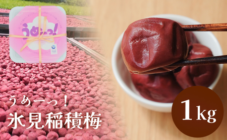うめーっ！氷見稲積梅 梅干し1kg | 手作り 昔ながら 酸っぱい 梅干 