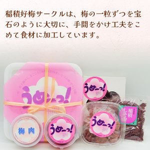 うめーっ！氷見稲積梅 梅干し1kg | 手作り 昔ながら 酸っぱい 梅干 