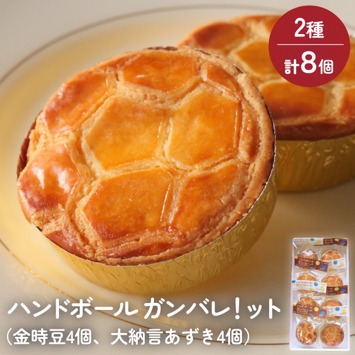 ハンドボールガンバレ！ット 8個 富山県 氷見市 ガレットブルトンヌ 焼き菓子 おやつ ハンドボール