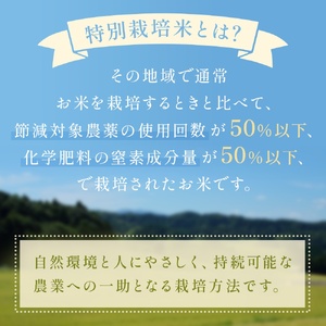 令和7年産 富山県産特別栽培米 コシヒカリ 天神の里２kg×２ 無洗米 |　お米 白米 精米 氷見 富山 米 国産 特別栽培 4kg 2kg 小分け エコファーマー 数量限定 コシヒカリ こしひかり 特別栽培米 安心 環境にやさしい 農家直送 