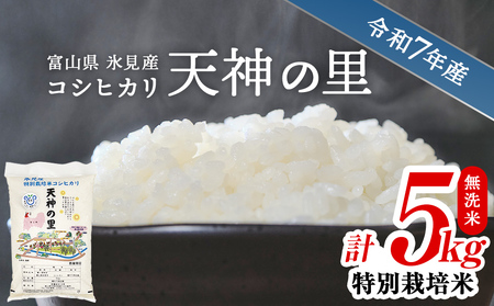 令和7年産 富山県産 特別栽培米 コシヒカリ 天神の里 ５kg 無洗米　｜　お米 白米 精米 氷見 富山 米 国産 特別栽培 5kg エコファーマー 数量限定 コシヒカリ こしひかり 特別栽培米 安心 環境にやさしい 農家直送 