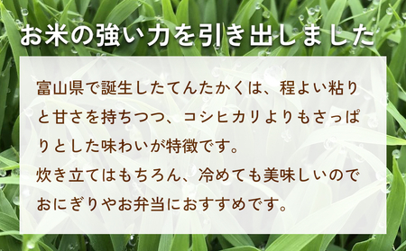  令和7年産 富山県氷見産 てんたかく無洗米 5kg  富山県 氷見市 米 てんたかく