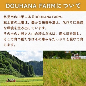  令和7年産 富山県氷見産 てんたかく無洗米 10kg  富山県 氷見市 米 てんたかく