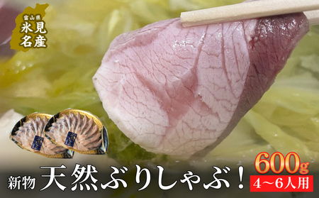 【氷見鰤】新物天然ぶりしゃぶ！300ｇ×2パック　2～3人用　満足サイズ | 鰤 ブリしゃぶ しゃぶしゃぶ 国産 天然 ブリ 富山 氷見 お取り寄せ 特産品 冷凍 肴 氷見漁港 富山湾 天然鰤 鍋 簡単調理 