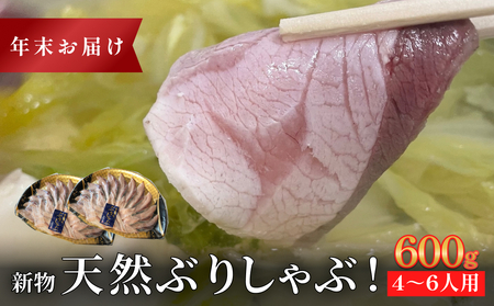 【年末お届け】【氷見鰤】新物天然ぶりしゃぶ！300ｇ×2パック　2～3人用　満足サイズ | 鰤 ブリしゃぶ しゃぶしゃぶ 国産 天然 ブリ 富山 氷見 お取り寄せ 特産品 冷凍 肴 氷見漁港 富山湾 天然鰤 鍋 簡単調理 