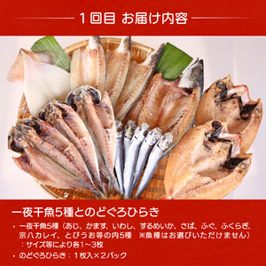 【4ヶ月隔月お届け】氷見堀与 一夜干・昆布〆刺身・海の幸詰合<氷見鰤・蛍いか・のどぐろ入> 富山県 氷見市 干物 詰め合わせ 魚介類