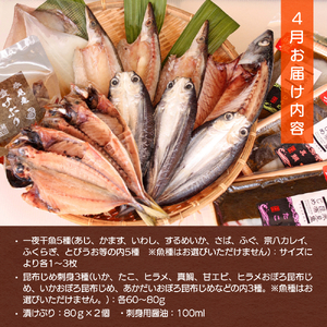 【年3回定期便】氷見の味を食べつくす！＜氷見鰤・昆布〆刺身・蛍いか・のどぐろ入＞  富山県 氷見市 干物 詰め合わせ 魚介類