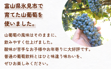氷見山葡萄60%果汁飲料 180ml×8 ＜2025年11月以降順次発送＞  富山県 氷見市 やまぶどう フルーツ 果物 山ぶどう