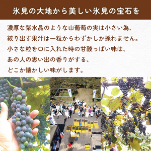 氷見山葡萄60%果汁飲料 180ml×8 ＜2025年11月以降順次発送＞  富山県 氷見市 やまぶどう フルーツ 果物 山ぶどう
