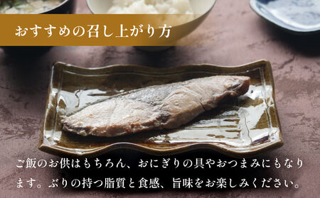 氷見ぶり 切り身4種(味噌漬け、塩糀漬け、西京漬け、粕漬け) 富山県 氷見市 鰤 切り身 パック 個包装 簡単調理