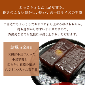 井上菓子舗 一口羊羹 10個